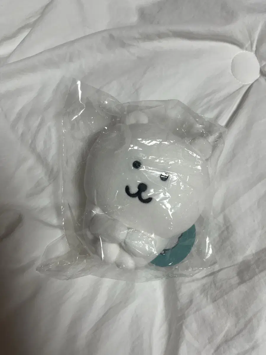 (미개봉) 앉은 농담곰 체육곰 누이 인형 나가노마켓 치이카와